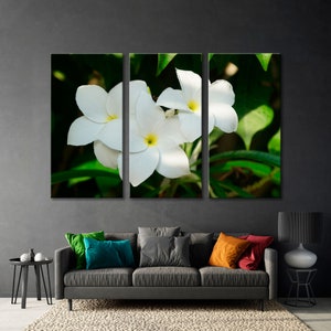 Flower Canvas Art, White Flower Wall Art, Nature Wall Art, Black Background Wall Art, White Flower Close-up Wall Art, Flora Canvas Art