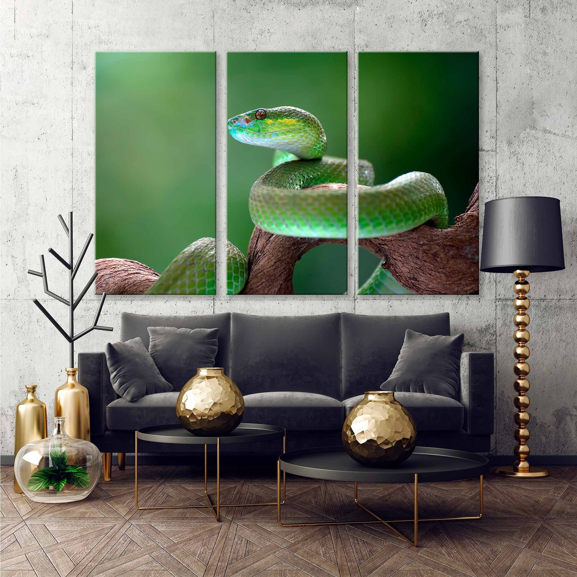 Pit viper snake France