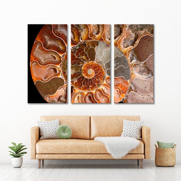 Shell Waii Art, Agatized Ammonite Canvas Print, Shell Decor Print, Ammonite Wall Art, Abstract Large Art, Minerals WallArt, Agat Wall Art