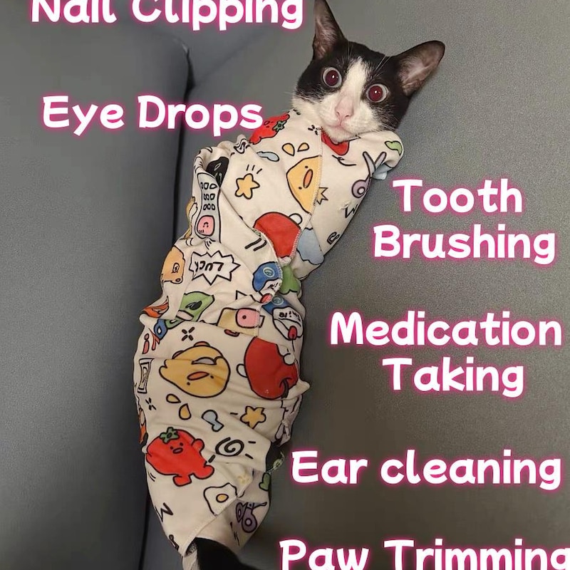 Photo inspiration: Cats Photo Inspiration