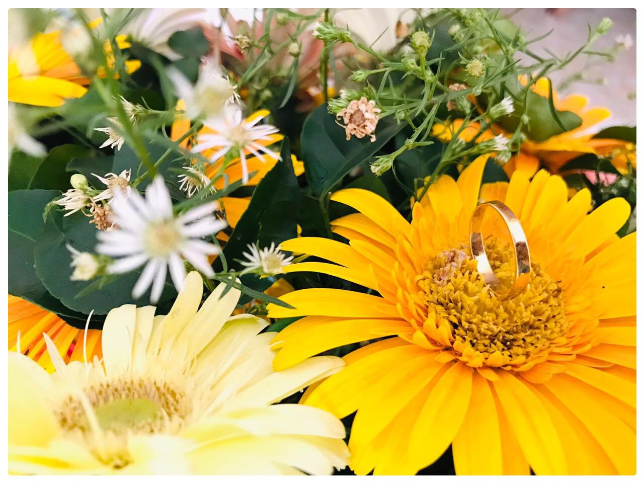 Wall Arts ,nature, Pencil Arts Etsy UK