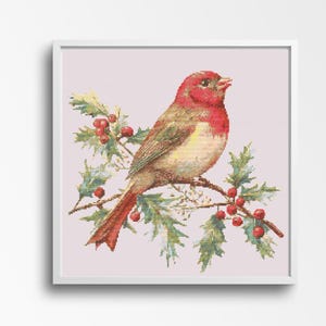 Bird Cross Stitch Pattern, Winter Cross Stitch Pattern, Christmas Robin, Counted Cross-titch Pattern,