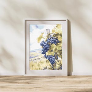 Puede incluir: Una impresión en acuarela enmarcada de una escena de viñedos. Racimos de uvas azul oscuro cuelgan de vides con hojas de color amarillo verdoso. Un poste de madera y una valla de alambre de púas están en primer plano, con un paisaje ondulado y cielo en el fondo.