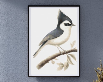 Tufted Titmouse Cross Stitch Pattern – Elegant Bird Embroidery, Nature-Inspired Needlework