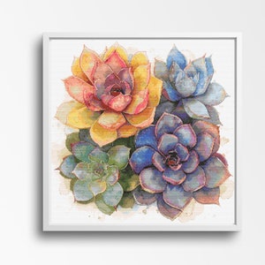 May include: A framed watercolour print of four succulent plants. The plants are depicted in shades of yellow, pink, blue, and green. The artwork is set against a white background, and the frame is white.