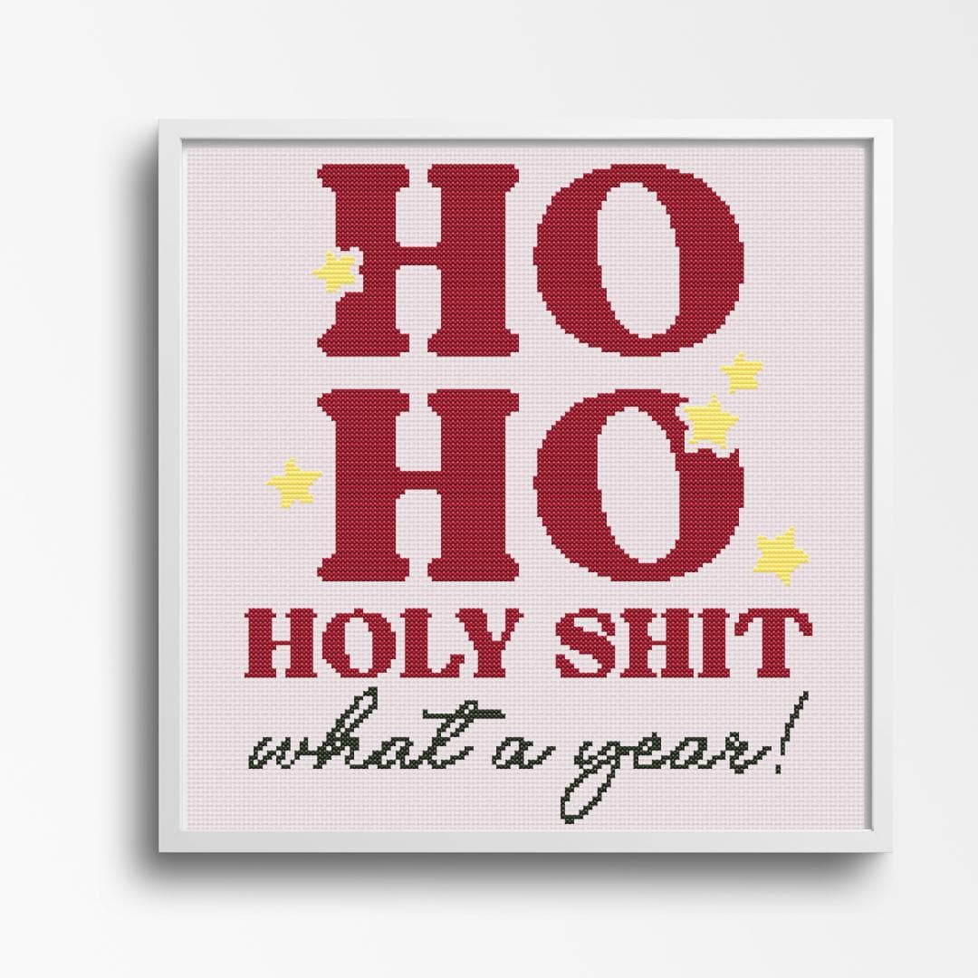Ho Ho Holy Sh*t, What a Year! Funny Christmas