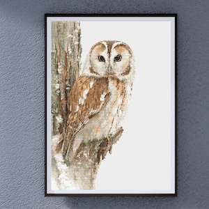 May include: Framed print of a detailed owl illustration. The owl, with brown and white feathers, is perched on a tree trunk. The artwork is set against a white background, framed in black, and mounted on a textured gray wall.