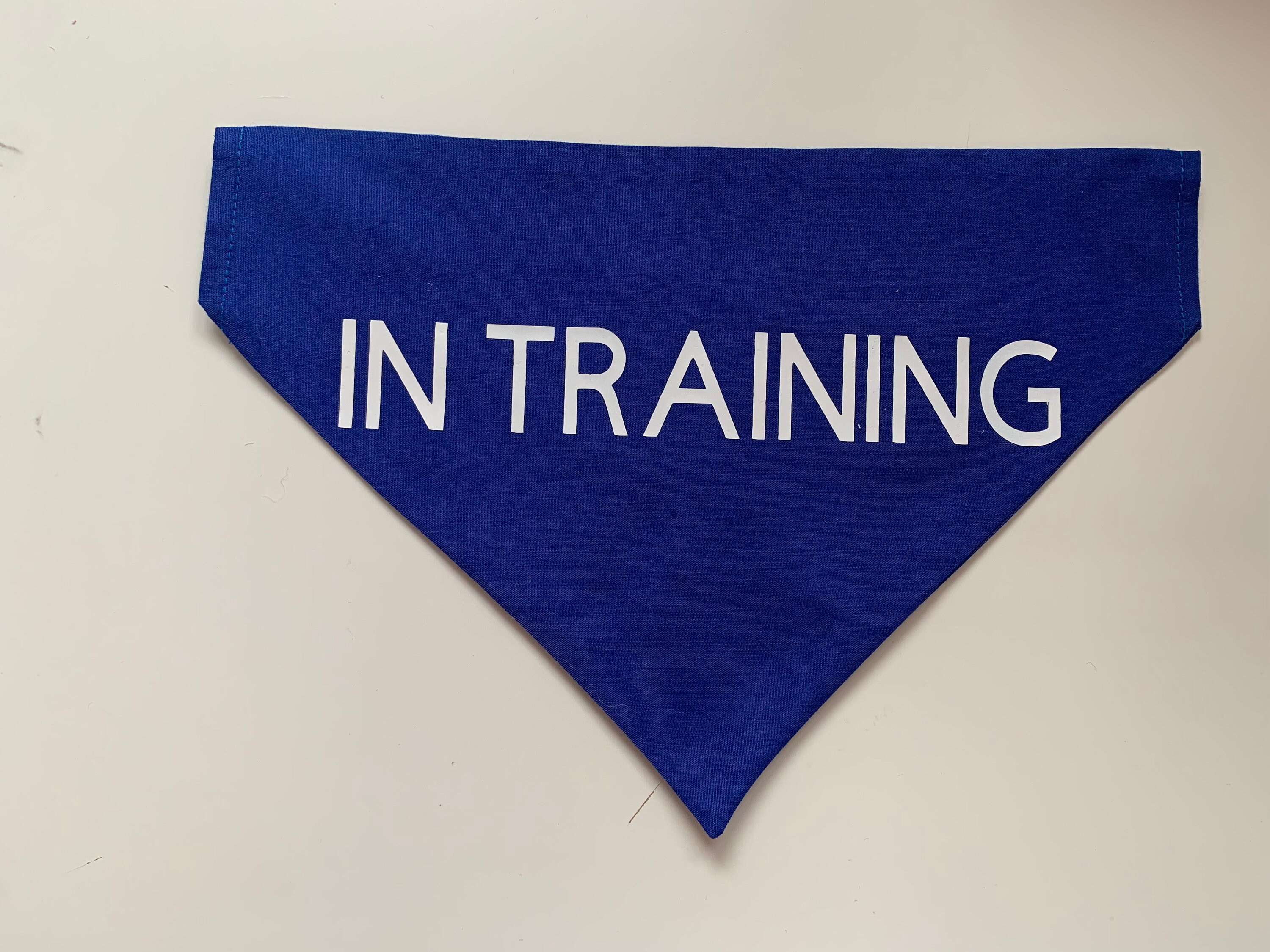 In Training Dog Bandana Slide on Collar Training Aid Etsy