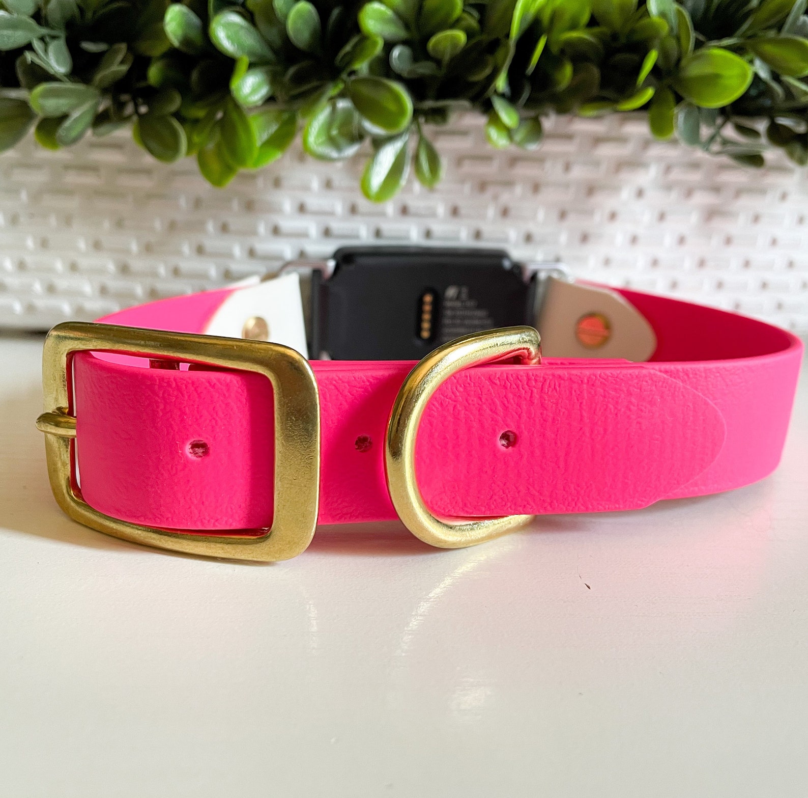 Custom Fi Collar Etsy