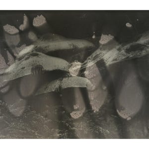 May include: A monochromatic, high-contrast photographic print featuring abstract, layered shapes that resemble organic forms. The composition displays varying shades of black, gray, and white with textured, grainy surfaces and soft, blurred edges.