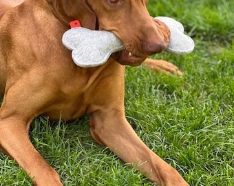 May include: A brown dog with a grey bone-shaped toy in its mouth. The dog is lying on green grass.