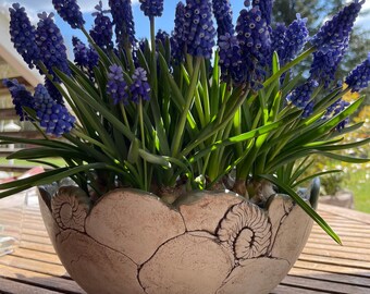 Blumenkasten keramik - Die besten Blumenkasten keramik verglichen!
