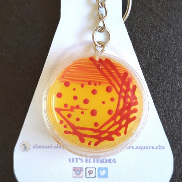 Petri Dish Keychain Etsy