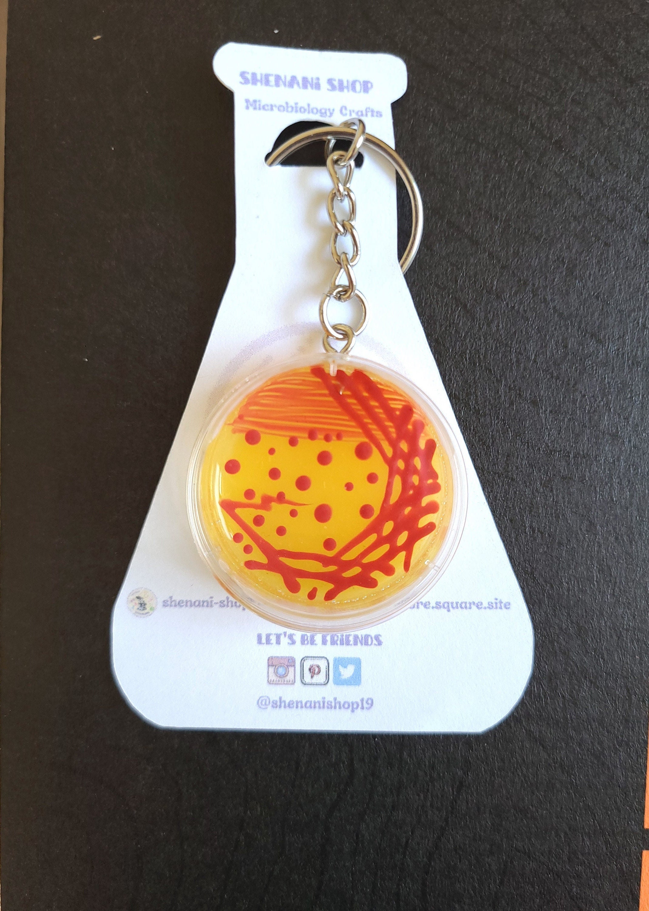 Enterococcus Petri Dish Keychainpetri Dish Badge Etsy