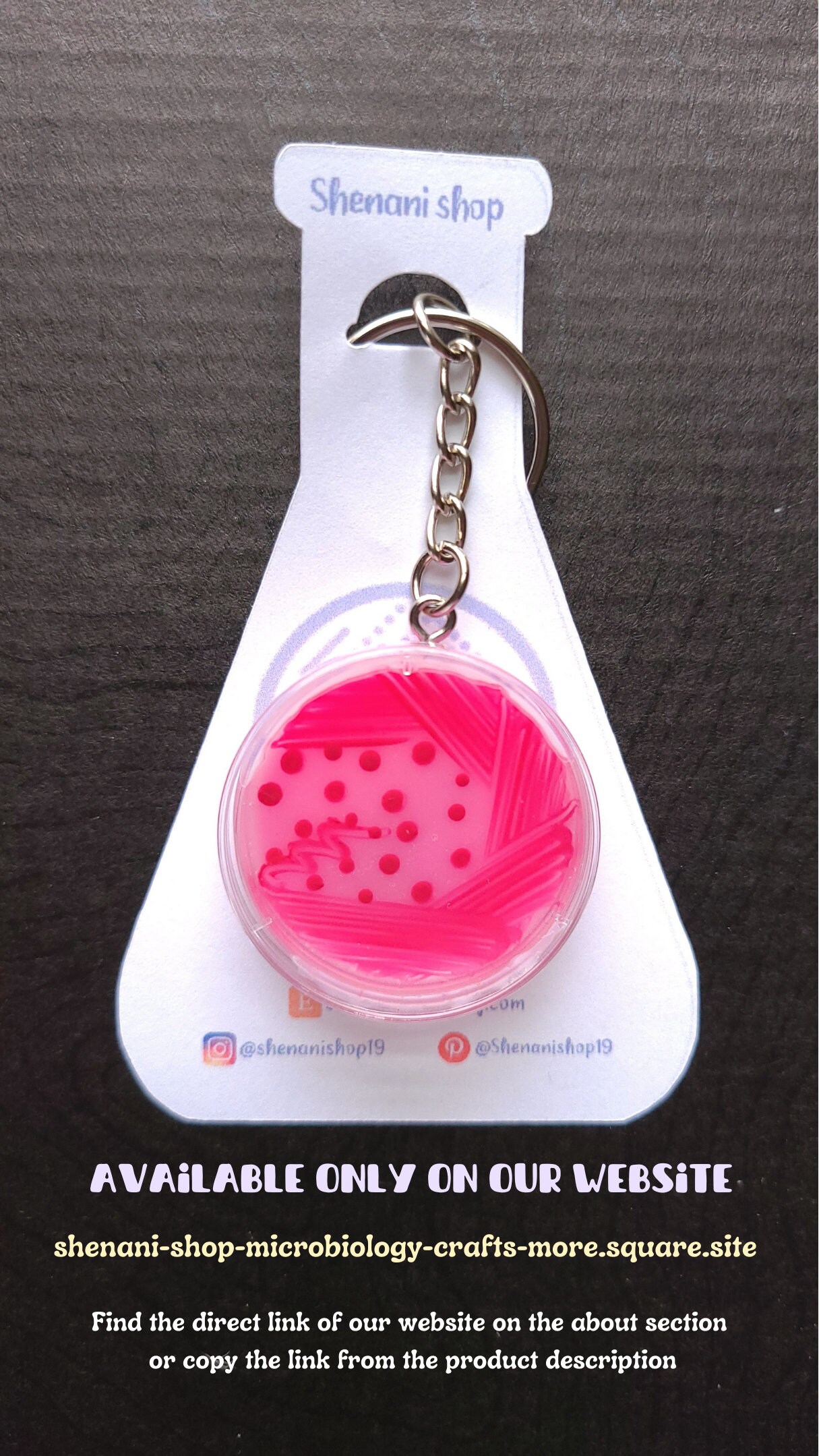 E.coli Macconkey Agar Petri Dish Keychain/badge Etsy