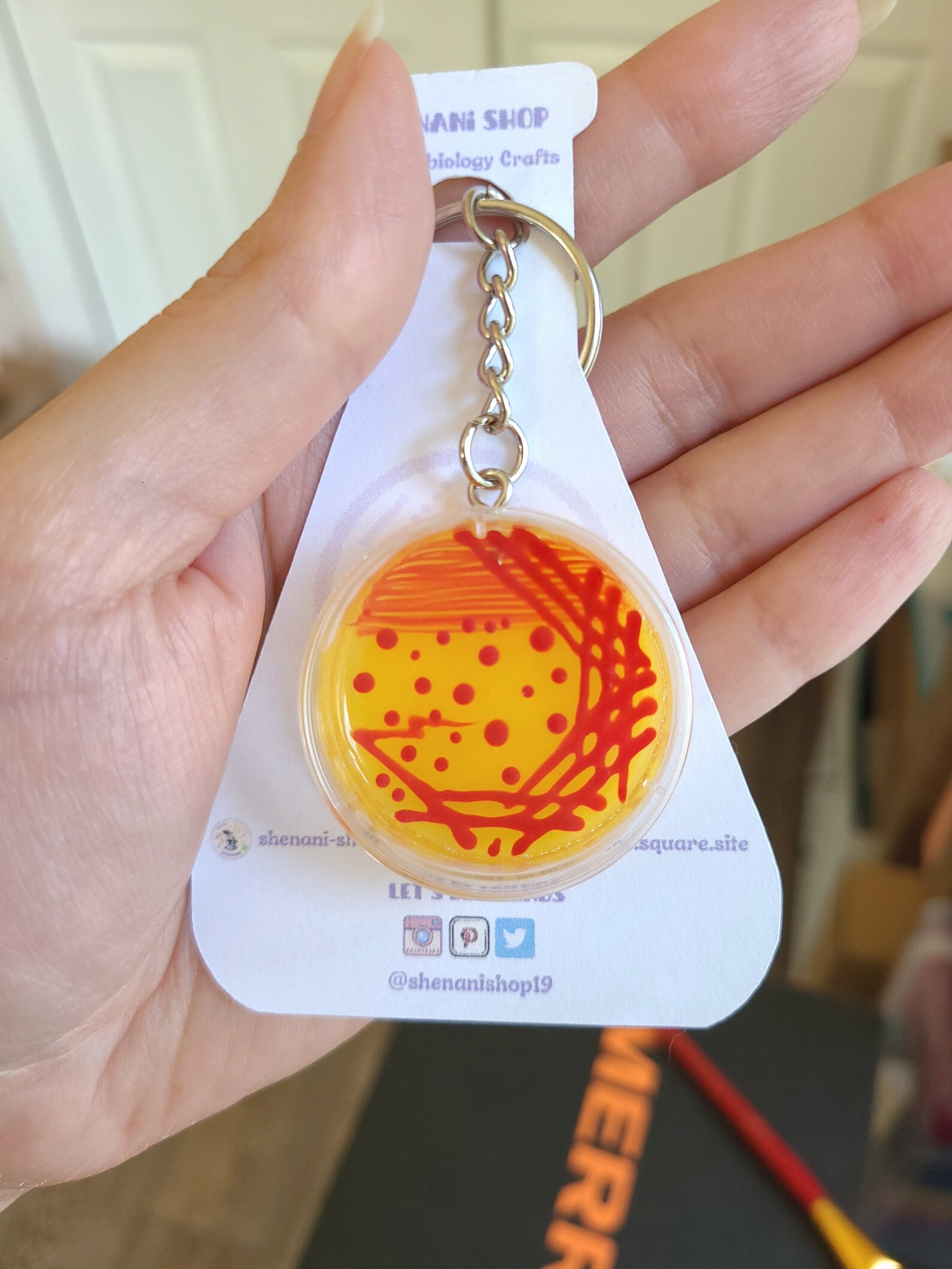 Enterococcus Petri Dish Keychainpetri Dish Badge Etsy