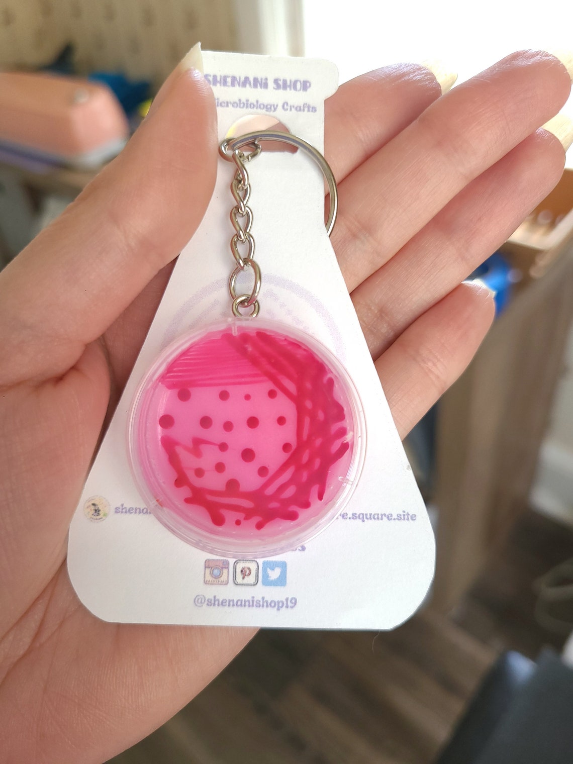 E.coli Macconkey Agar Petri Dish Keychain/badge Etsy