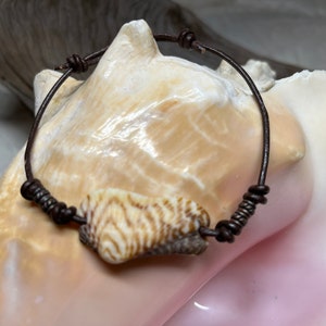 May include: A brown leather bracelet with a white and brown seashell charm. The bracelet is tied with a knot and has a metal accent.