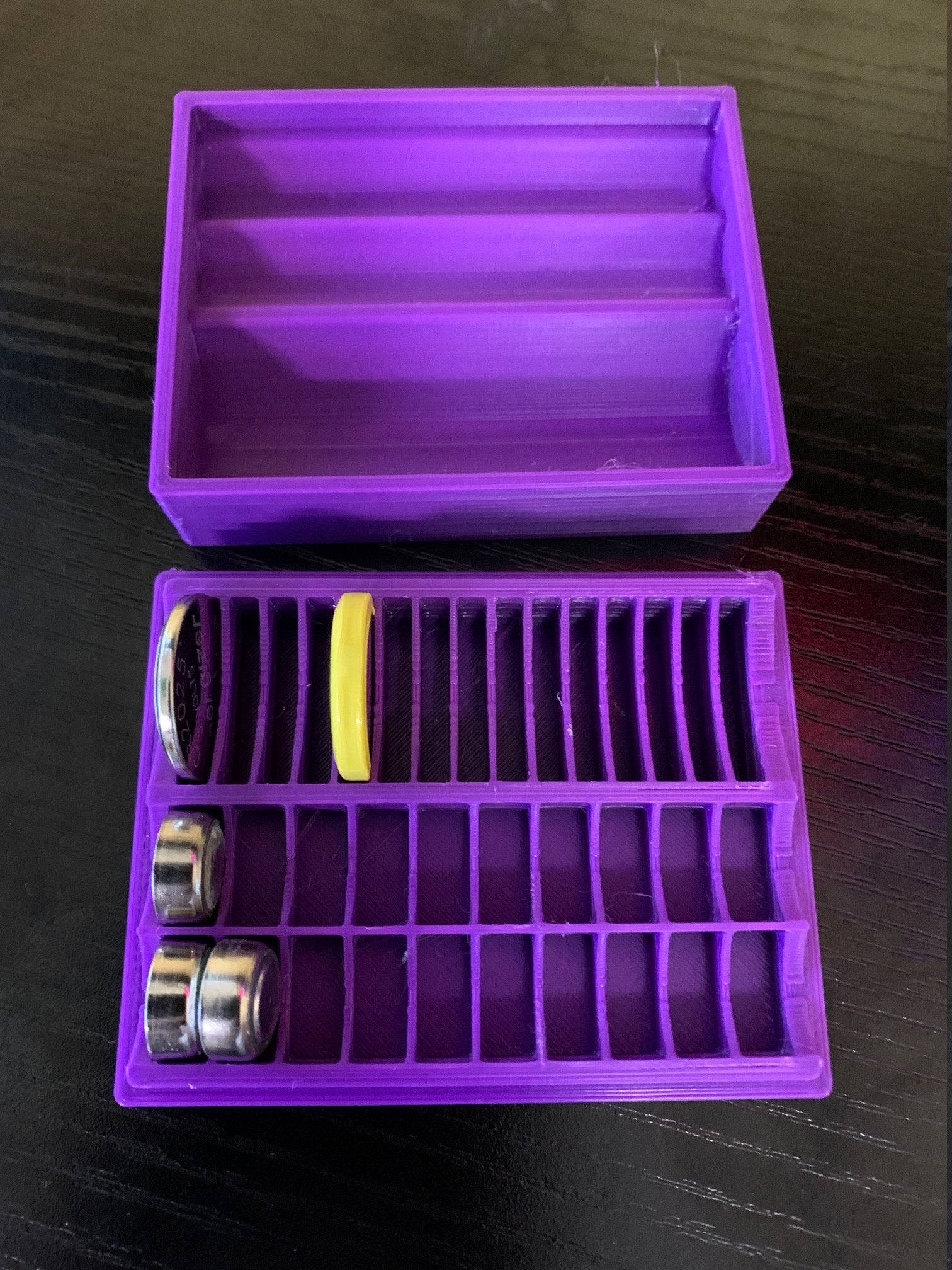 Button Cell Battery Organizer- Choice of Colors