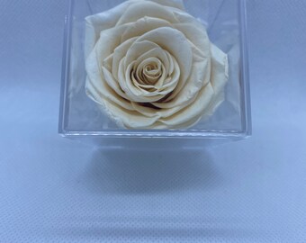 Never Die Flowers Etsy