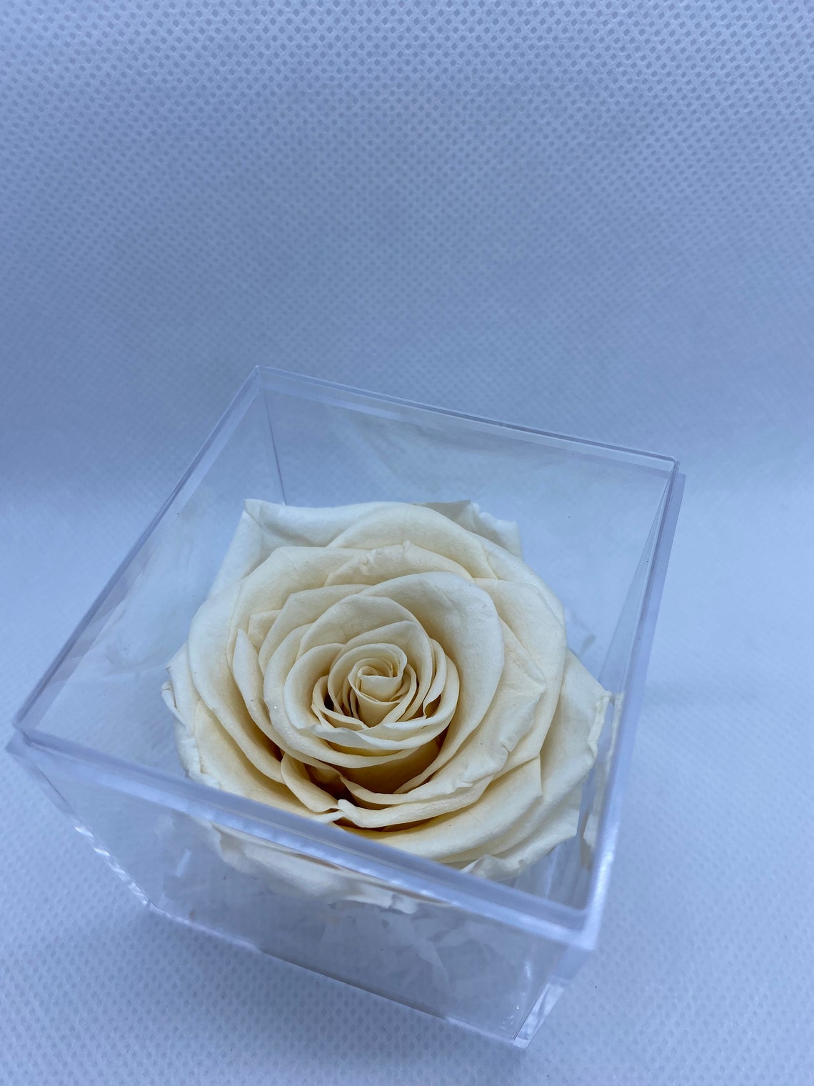 Preserved Real Dried Rose in Box with ribbon perfect gift for Etsy
