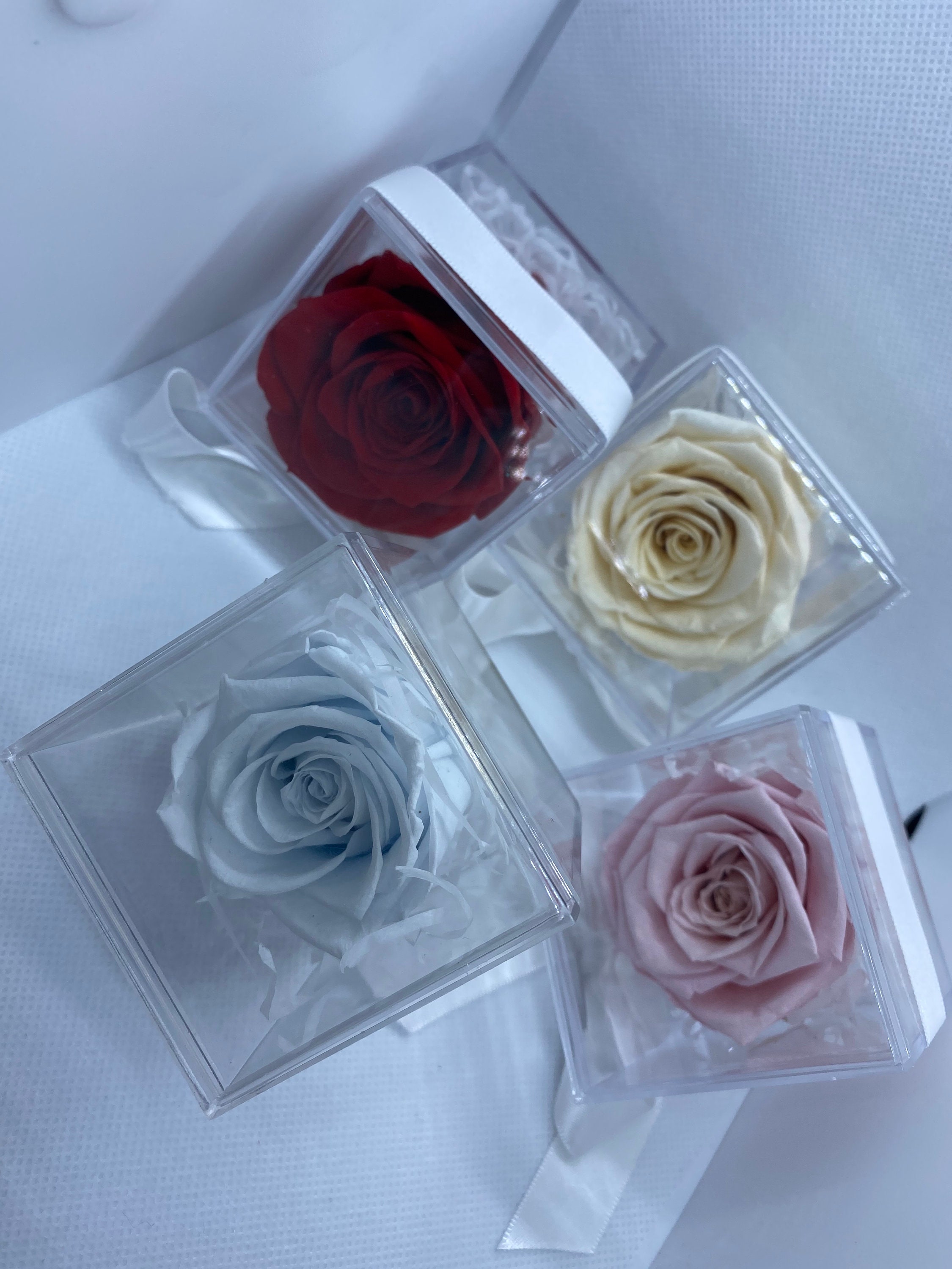 Preserved Real Dried Rose in Box With Ribbon, Perfect Gift for Mother ...