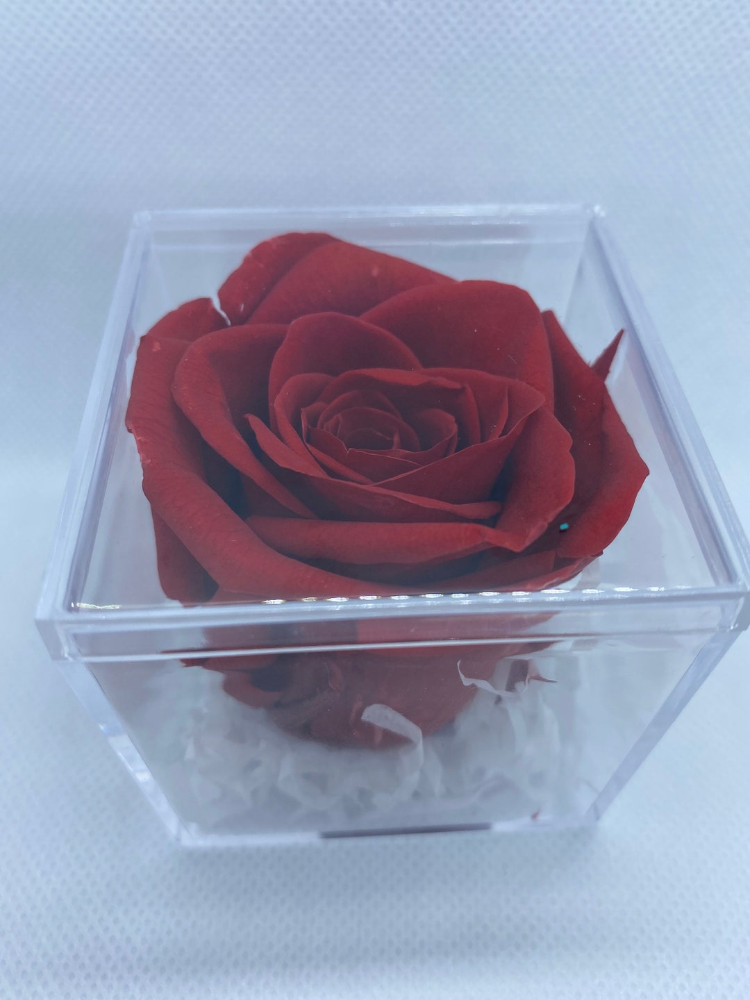 Preserved Real Dried Rose in Box With Ribbon, Perfect Gift for Mother ...