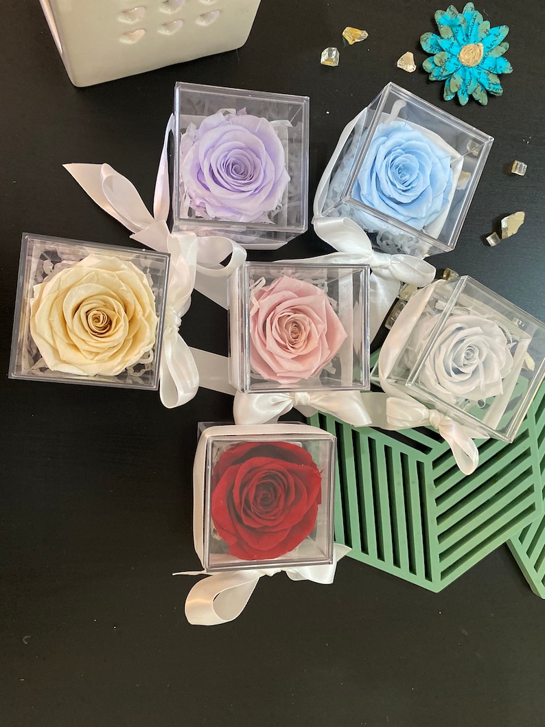 Preserved Real Dried Rose in Box With Ribbon, Perfect Gift for Mother ...