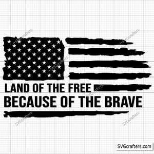 Land Of The Free Because Of The Brave Flag Svg, We the People svg, 1776 Quote Svg, Patriotic svg, 2nd amendment svg, 4th of july svg,freedom
