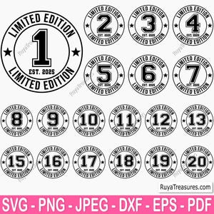 Geburtstagsjunge Bundle geschnitten Datei, Familien Bundle geschnitten Datei geschnitten Datei, 1