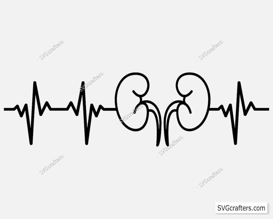 Kidney Heartbeat Svg Png, Kidney Svg, Dialysis PCT Svg, Therapist