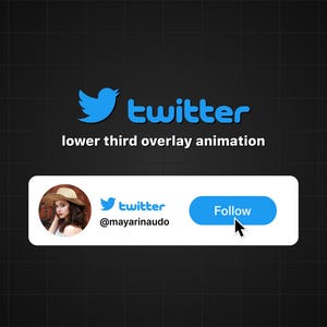 Custom Animated Twitter Follow Button Overlay for Intro Videos - Etsy