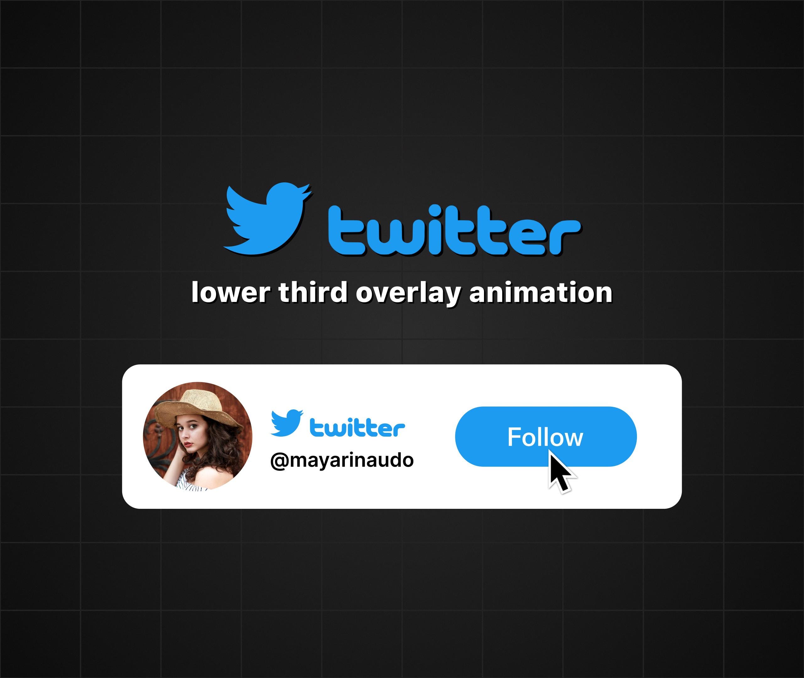 Custom Animated Twitter Follow Button Overlay for Intro Videos - Etsy