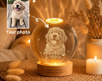 Lámpara de noche personalizada con bola de cristal conmemorativa para mascotas con nombre, lámpara con retrato de perro, luz de cristal para recordar a tu mascota, regalo conmemorativo para perros y gatos.
