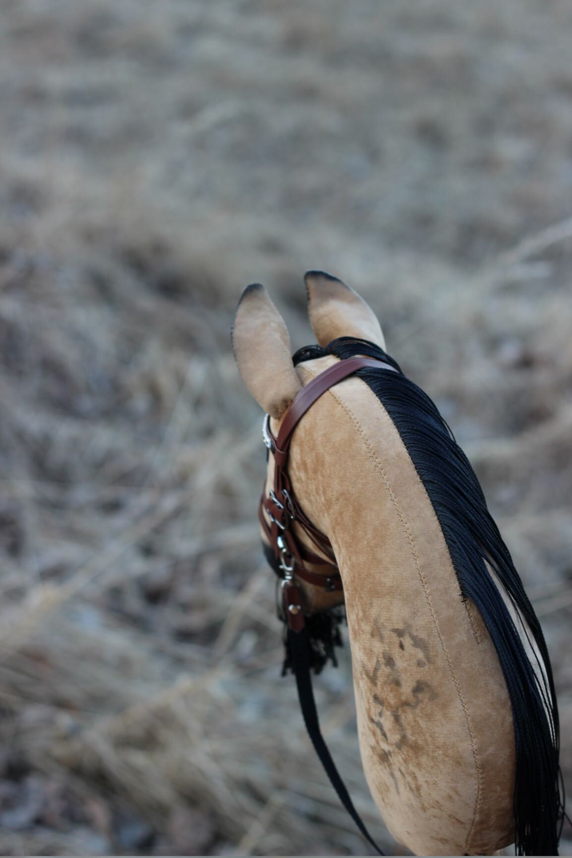 Hobby-Pferd Stock Pferd in Buckskin Farbe Zaumzeug ...