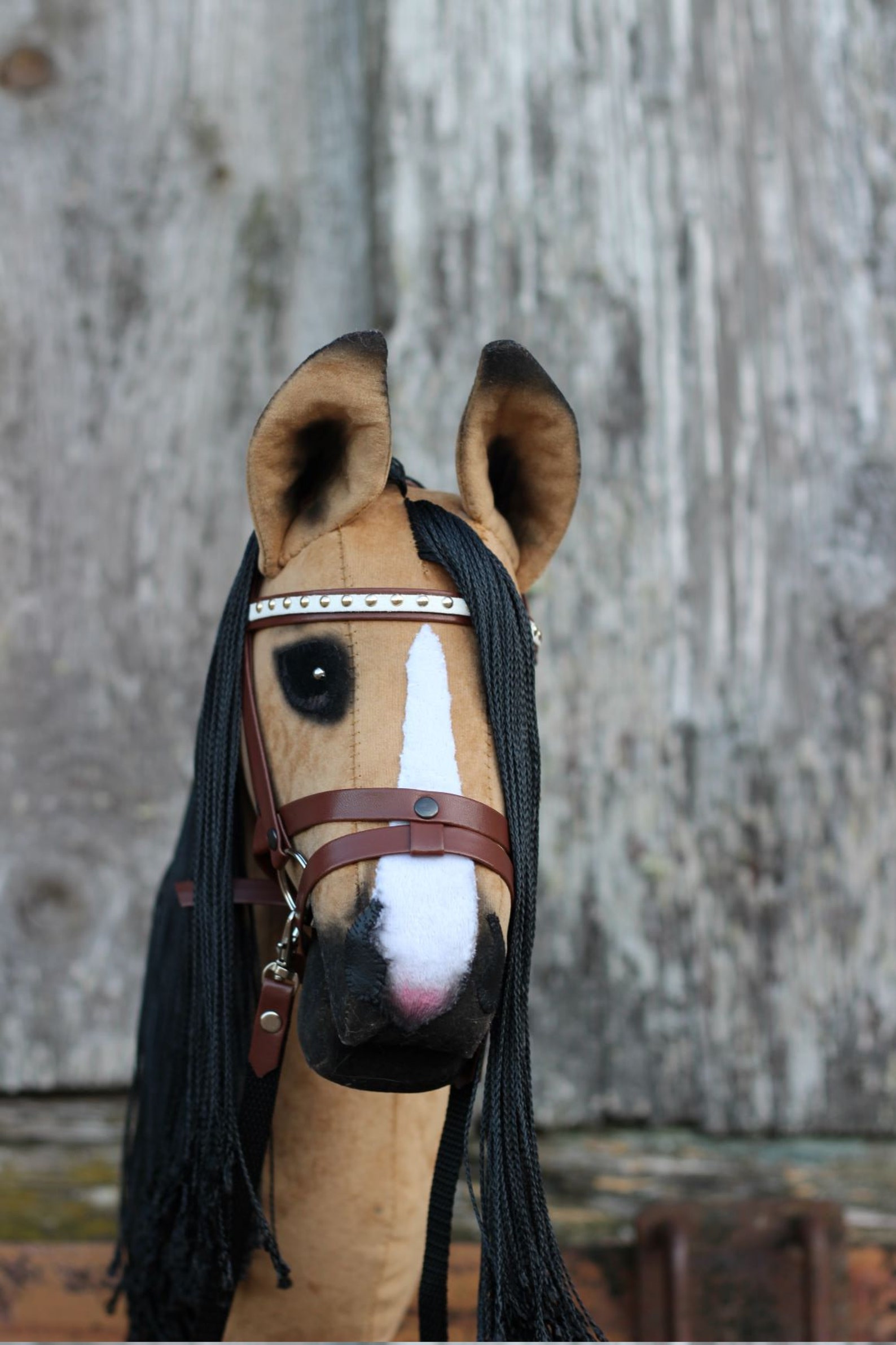 Hobby-Pferd Stock Pferd in Buckskin Farbe Zaumzeug ...