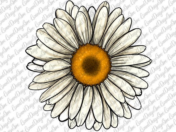 Daisy Pngflower Png Daisy Flower Png Sunflower Pngdaisy - Etsy Daisy Pngflower Png Daisy Flower Png Sunflower Pngdaisy - Etsy