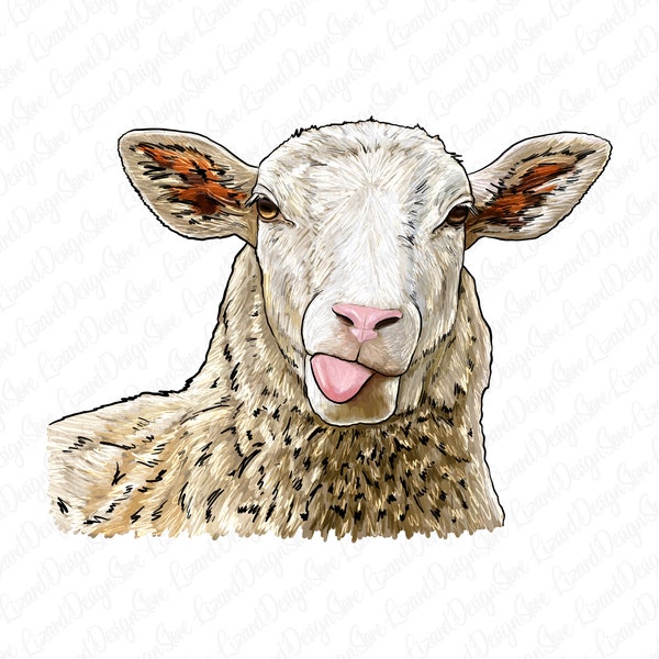 Katahdin Sheep Png Sublimation,Watercolor Sheep png,Hand Drawn Sheep Png,Sheep Portrait Png,Sheep Animals Png,Sheep Clipart,Digital Download