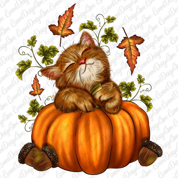 Fall Pumpkin Cat Sublimation Design Png, Fall Pumpkin Png, Cat Sublimation Png, Cat Pumpkin PNG, Sublimation Design, Digital Download