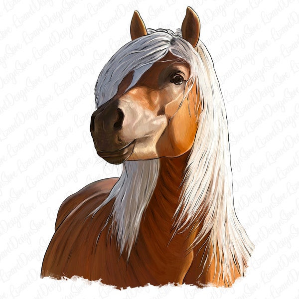 Haflinger Horse Sublimation Design,Hand Drawn Horse Png,Animal Horse Png,Haflinger Horse Png,Face Horse Png,Haflinger Horse,Digital Download