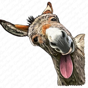 Tongue Out Donkey Png Sublimation Design,Hand Drawn Donkey Png,Animal Donkey Png,Cute Donkey png,Donkey Face,donkey clipart,Digital Download image 1