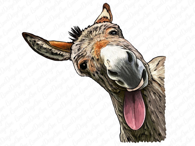 Tongue Out Donkey Png Sublimation Design,Hand Drawn Donkey Png,Animal Donkey Png,Cute Donkey png,Donkey Face,donkey clipart,Digital Download image 1