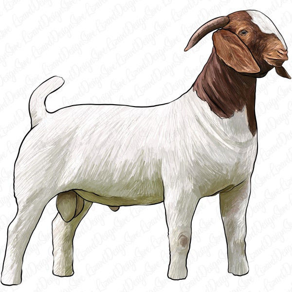Goat Png Sublimation Design,HandDrawn Goat Png,Animal Goat Png,Boer Goat png,Goat png,Bear Goat clipart Png,Barnyard Animal,Digital Download
