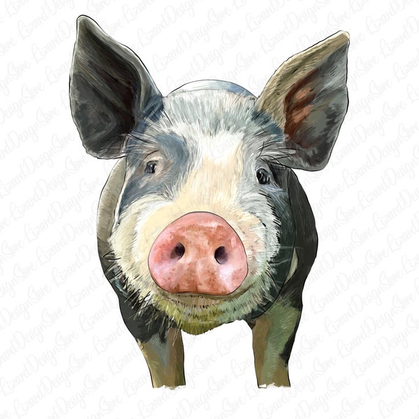 Berkshire Baby Pig Png Sublimation Design,Hand Drawn Pig Png,Pig Png,Berkshire Pig Cub Png,Barnyard Animals Png,Baby Pig,Digital Download