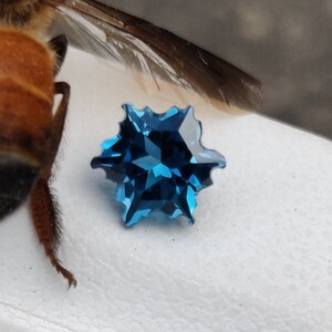 Könnte beinhalten: Ein facettierter, sternförmiger Edelstein in tiefem Teal. Der Stein hat scharfe, spitze Kanten und eine komplexe Innenstruktur, die das Licht reflektiert. Eine Biene und ein Flügel sind ebenfalls zu sehen.