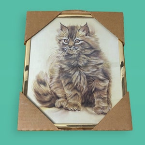 Vintage Framed Fluffy Cat Kitten Art Print by C. Carole Hoss (10x8)