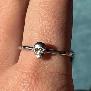 May include: A silver ring with a small skull design.