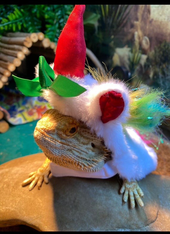 Bright Unicorn Reptile Costume Sugar Glider Bearded Dragons Snuggies Rainbow Cute Etsy Canada