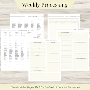 Weekly Thought Processing Journal Pages for daily self care, Weekly mental health, and emotion list with breakdown worksheets -downloadable