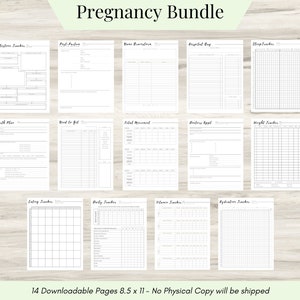 Pregnancy Planner Printable, Pregnancy Preparedness,  Printable Pregnancy Journal, Pregnancy Organizer, Pregnancy Health Plan Trackers- PDF